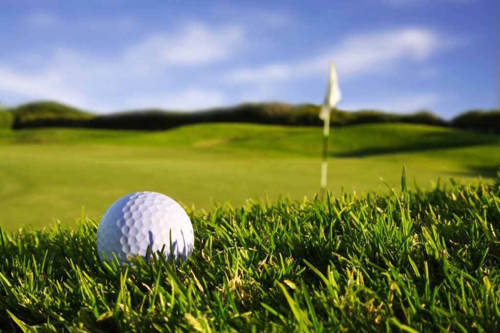 GOLF + İngilizce Yaz Okulu programı, golf konusunda farklı seviyelerde becerilere sahip öğrencilere hitap eder. Dersler, PGA koçları ve Avrupa tur deneyimi olan A sınıfı profesyoneller tarafından verilir. Haftalık 15 saatlik İngilizce dersinin yanında, öğrenciler günde 3 saat olmak üzere haftada toplam 15 saat golf dersi alırlar.