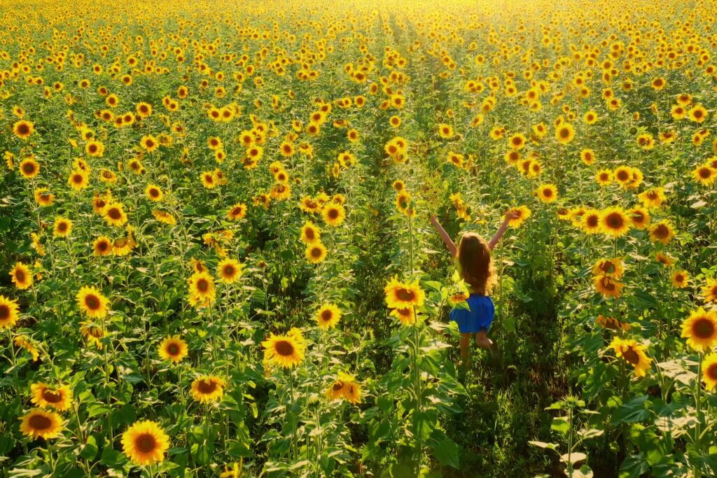 Yaz okulu yolculuğuna birlikte hazırlanıyoruz! ☀️ 
Bu videoda, hem öğrencilerimiz hem de siz değerli velilerimiz için seyahat öncesi süreci kolaylaştıracak önemli bilgileri bir araya getirdik.

⭐️ Neler bulacaksınız?

– Valiz ve el bagajı hazırlığı
– Mental ve duygusal hazırlık süreci
– Kampüs kuralları 
– Konforlu uçuş önerileri
– İletişim yöntemleri

Videoyu izleyerek aklınızdaki pek çok soruya yanıt bulabilir, hazırlık sürecini daha planlı ve sakin bir şekilde yürütebilirsiniz.